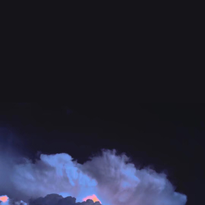 免费一级毛片毛多水多
