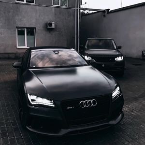 免费一级毛片毛多水多
