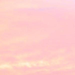 免费一级毛片毛多水多
