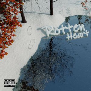 免费一级毛片毛多水多
